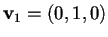 $\mathbf{v}_{1}=(0,1,0)$