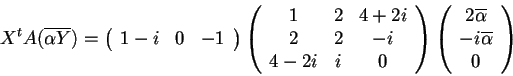 \begin{displaymath}X^{t}A(\overline{\alpha Y})=
\begin{array}({ccc})
1-i & 0 &...
...
2\overline{\alpha}\\
-i\overline{\alpha}\\
0
\end{array}
\end{displaymath}