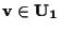 $\mathbf{v} \in \mathbf{U_1}$