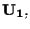 $\mathbf{U_1},$