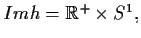 $Im h=\mathbb{R} ^{+}\times
S^{1},$