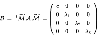 \begin{displaymath}
\mathcal{B}\: = \hspace{2mm} ^t\widetilde{\mathcal{M}}
\hs...
..._2 & 0 \\
0 & 0 & 0 & \lambda_3 \\
\end{array}
\right)
\end{displaymath}